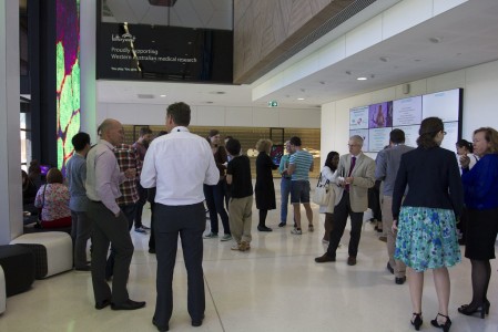 Stem Cells - Science, Medicine and Ethics