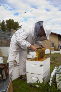 Molecules of Love and War