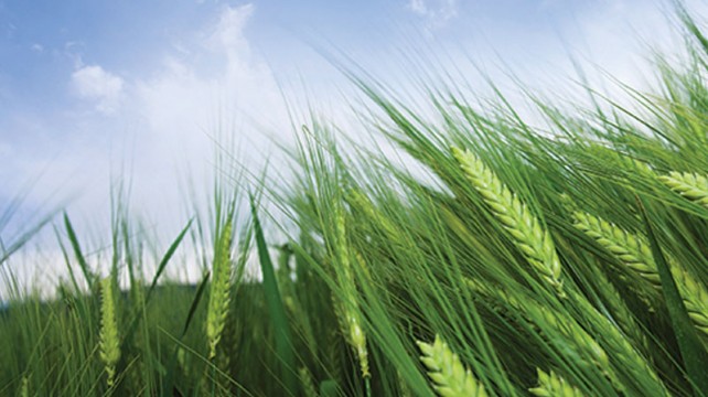 Disrupting-Technologies-Event-image