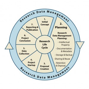 Data Management Life Cycle